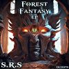 Download track Forest Fantasy