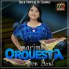 Download track Torito