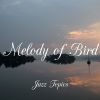 Download track Melody Of Bird