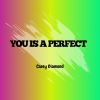 Download track You Is A Perfect