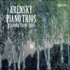 Download track Arensky: Piano Trio No 1 In D Minor, Op 32 - 4: Finale: Allegro Non Troppo