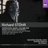 Download track Suite No. 2 In A Minor For String Orchestra, Op. 120 II. Molto Vivace
