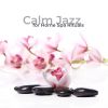 Download track Jazz To Calm Down