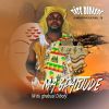 Download track Mu Boty