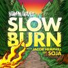 Download track Slow Burn