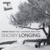 Download track Snowy Longing (Parallax Breakz Remix)