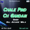 Download track Chale Pind Ch Gandasi