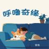 Download track 被褐怀玉