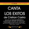 Download track Mi Vida Sin Tu Amor (Karaoke Version) [Originally Performed By Cristian Castro]