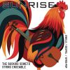 Download track Sunrise