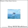 Download track Mindful Melodies Of Sleep's Embrace