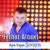 Download track Ayn Vayn Şıvayn