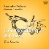 Download track 10 - Trio Sonata In B-Flat Major - II. Allegro Ma Non Troppo