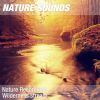 Download track Nature Sounds For Relaxation, Reiki & Acupressure Massage (Peaceful River) 02