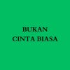 Download track Bukan Cinta Biasa