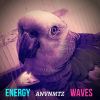 Download track Energy Waves