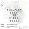 Download track Whispers From The Other World (Remix)