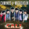 Download track Caminos De Michoacán (Version 2015)