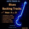 Download track Slow Storm Blues In 