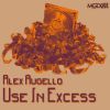 Download track Use In Excess (Use In Excess)