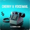 Download track Voicemail