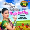 Download track Khanivade Gavamadhi Baug Kay Lavila Gulabacha (Remix Version)