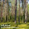 Download track Spruce Forest Birdsong Ambience, Pt. 14