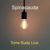 Download track Solo La Fine Condotta (Live)