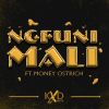 Download track Ngfuni Mali - Radio Mix