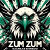 Download track Zum Zum 2012 Samba Enredo