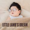 Download track Lullabies For Babies