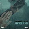 Download track Goodbye