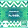 Download track Pangea (Instrumental Mix)