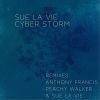 Download track Cyber Storm (Peachy Walker And Sue La Vie Remix)