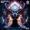 Download track Pineal Gland Dance