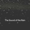 Download track Spectacular Rainstorm