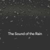 Download track Rainfall Falls From The Beautiful Sky