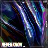 Download track Never Know