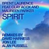 Download track Spirit (David Harness Radio Mix)