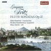 Download track Sonata V In D Major - I. Andante