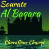 Download track Sourate Al Baqara, Pt. 2 (Hafs Muratal)