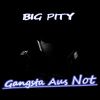 Download track Gangster Aus Not