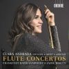 Download track 05. Flute Concerto III. Allegro Scherzando