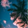 Download track Pink Cloud