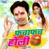 Download track Bhinge Radha Ke Chunariya