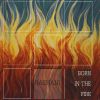 Download track Born In The Fire