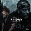 Download track Prodigy