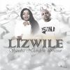 Download track Lizwile