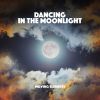 Download track Dancing In The Moonlight