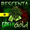 Download track Green Gold